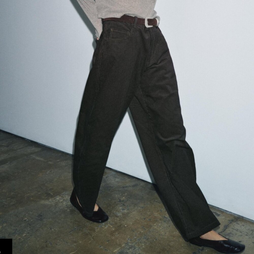 Zara ZW Collection Brown Striped Wide Leg Pants NWT Size S 5344/233